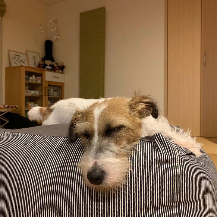 E791b40c 3a40 48d9 8df4 e1b520f898ee 1595429126547