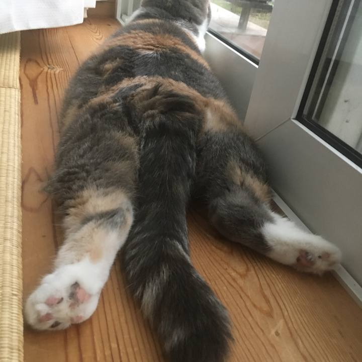 E791be75 0a62 4910 bb31 e67441875b8c 1563785810410