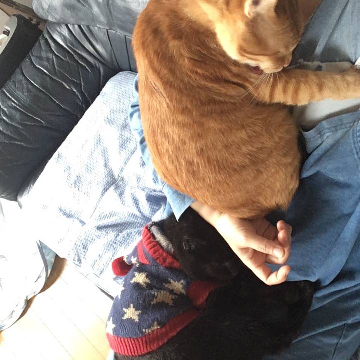 E792072e 8a5a 4bb9 88e6 f05ca0e83f62 1541899357710