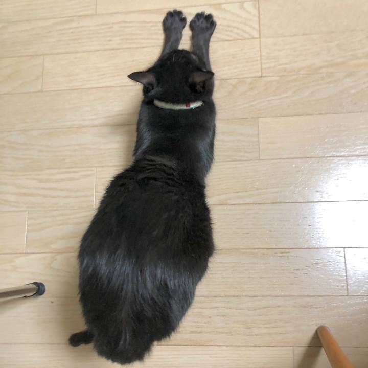 E7920dd7 c259 473f 9ce8 d20c20af4ccf 1595507406713