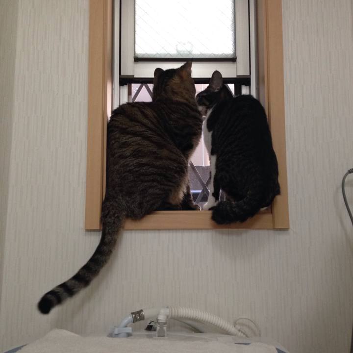 E79215db cbaa 4075 ae91 cdf94b16a993 1512277507145