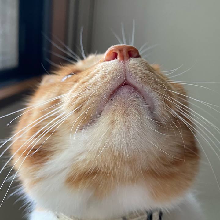 E7924bf9 cd07 4b97 ba79 0dcbeea880a0 1630153913082