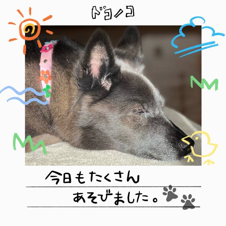 E792502c cd67 4bbd 9691 db55c85c8928 1755269736734