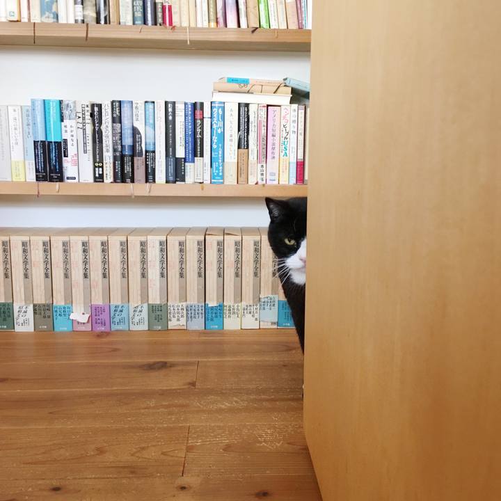 E7925754 37a0 40a0 a0de 343fe698f7e2 1584795821640