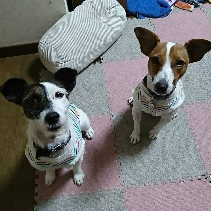 E792d516 9036 4ea4 be4b f388d9a98b8b 1532778324091