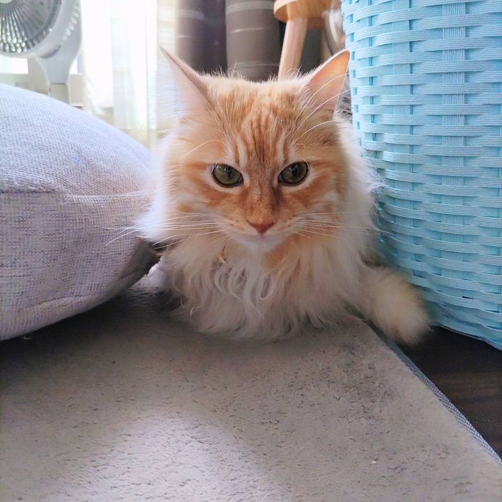 E792e206 79fb 4669 a7ec a1055dcd97ca 1716695991425