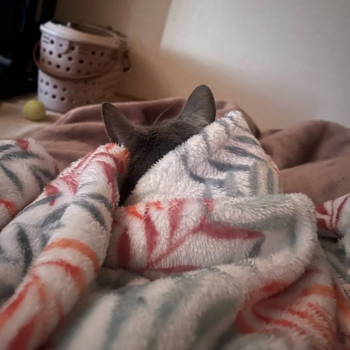 E7930381 faf2 46c6 abd1 075ed64762f4 1733959925572