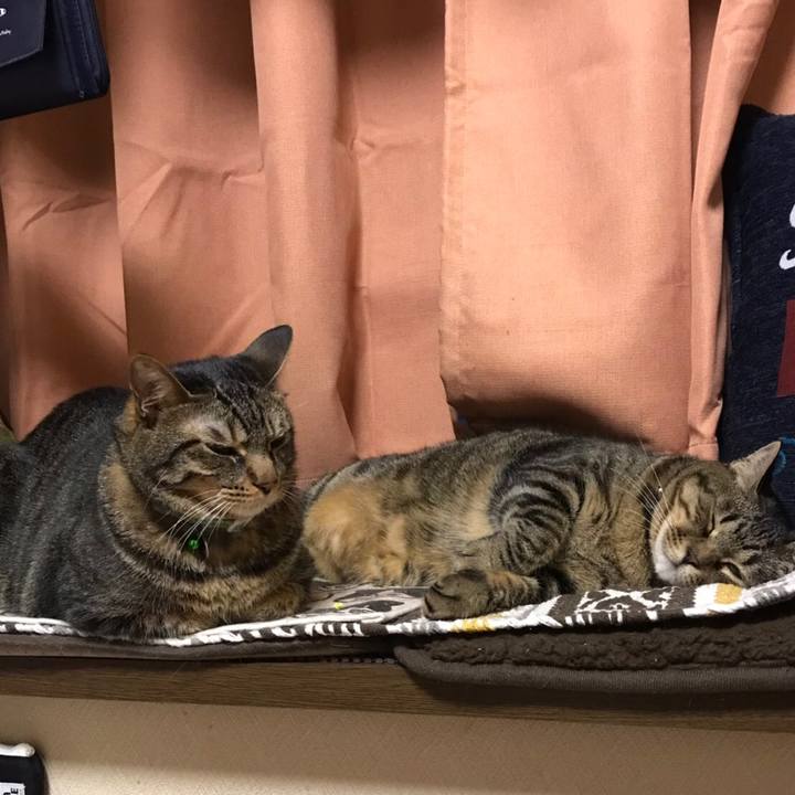 E7930610 dadc 4f5b b588 a7c09fc8065c 1572021633550