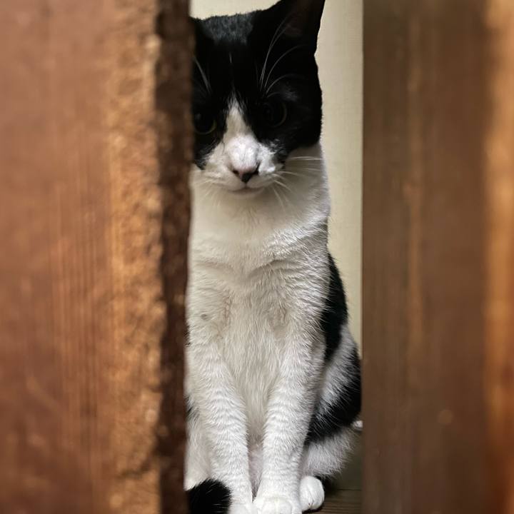 E7932317 7b21 49c2 8de9 fe2087d848df 1728225669772