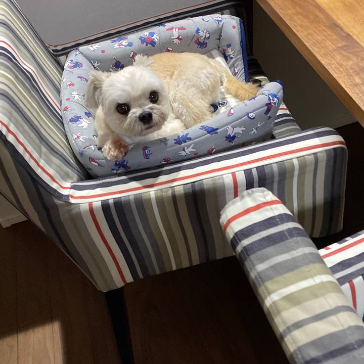 E7932364 9d4b 409a 9160 82a74ebd8ca8 1600252720292