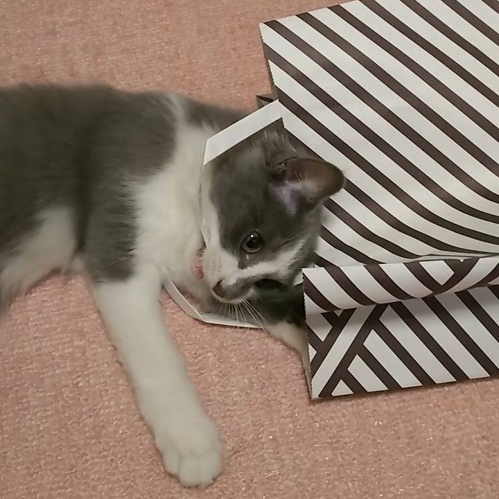 E7936f08 4d79 4b3b a28a c5e78d2b6a3f 1566254298453