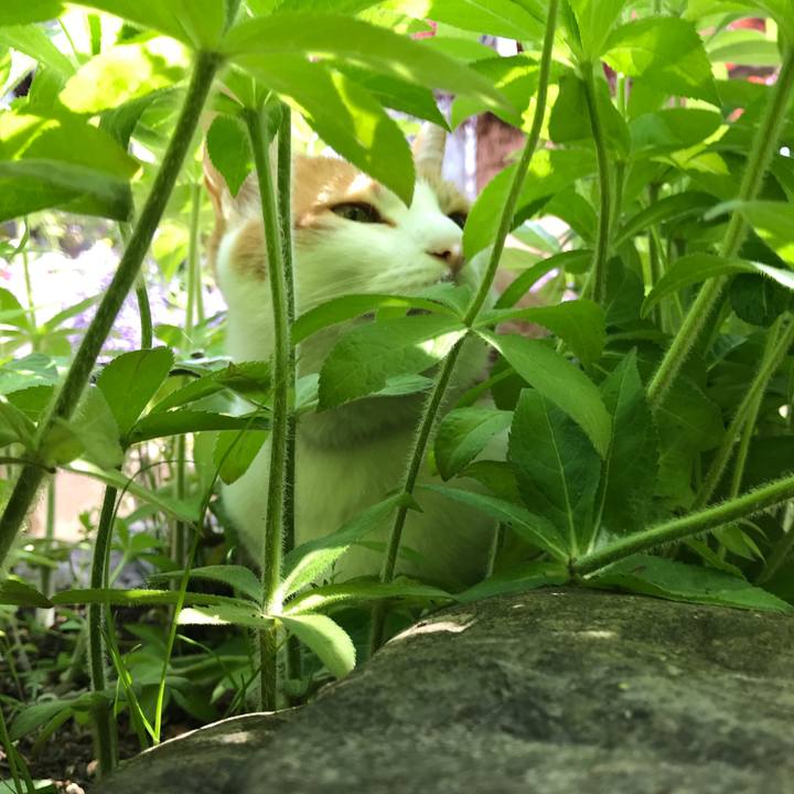 E79376c8 6d3d 4b6c b643 021d8f897dea 1525997933834