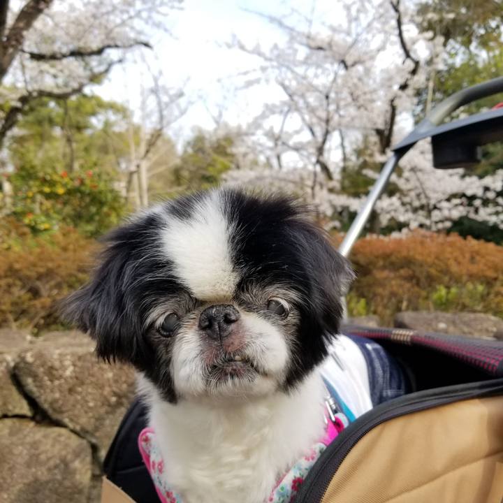 E7939788 c70a 4c8d a574 86efd4ee420d 1616838003982