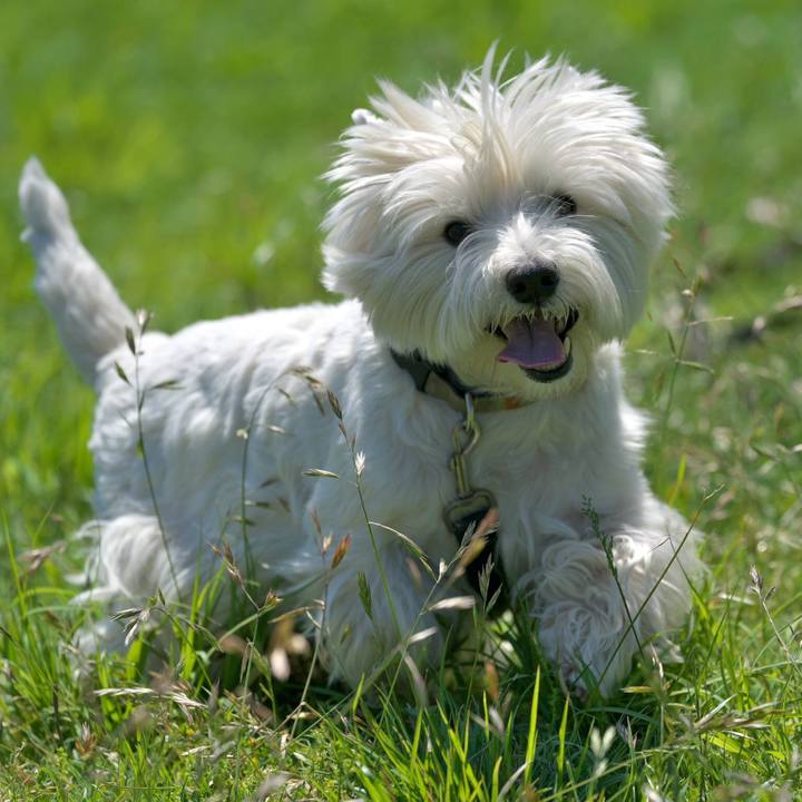 E793b0bb 2330 4ec7 8060 18650ebc0b13 1525476317149