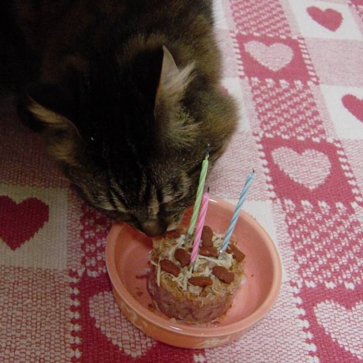 E793c8e9 a935 4b3e a177 0f3d3cefdfa0 1766964177147