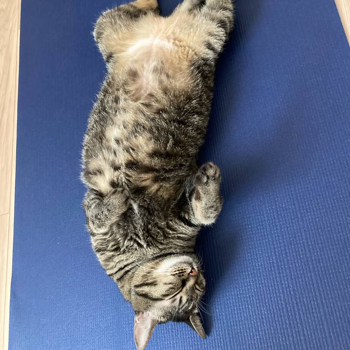 E793d547 34cb 414e 972c 8fcad3030cd4 1597463107842