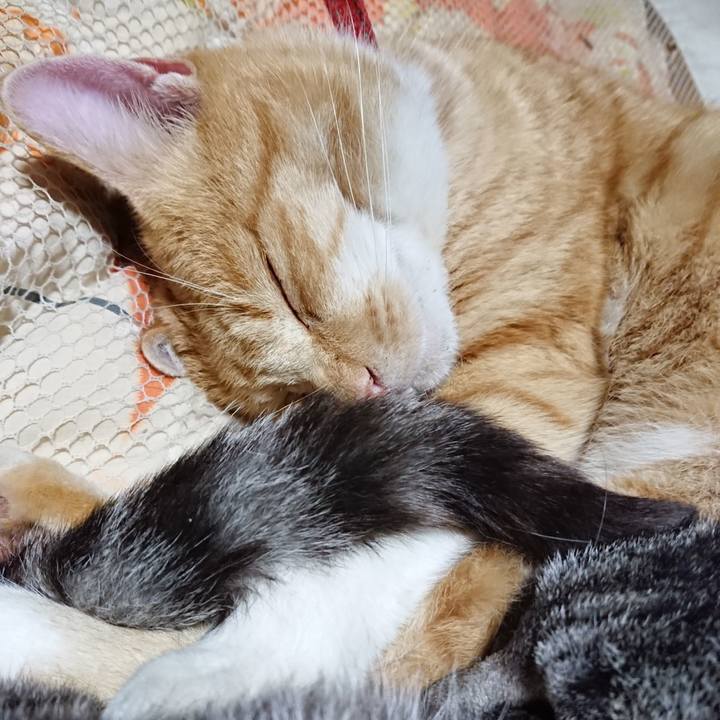 E793ddb5 1a9e 4f6c a32b c642c9b4b986 1574688733966