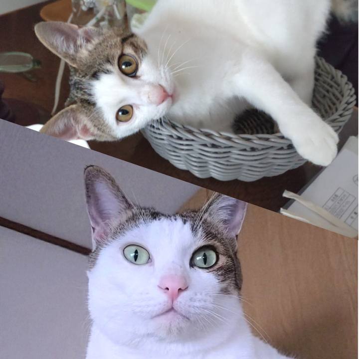 E793e6c9 4896 445d b1eb 6f96fb39e820 1756306383526