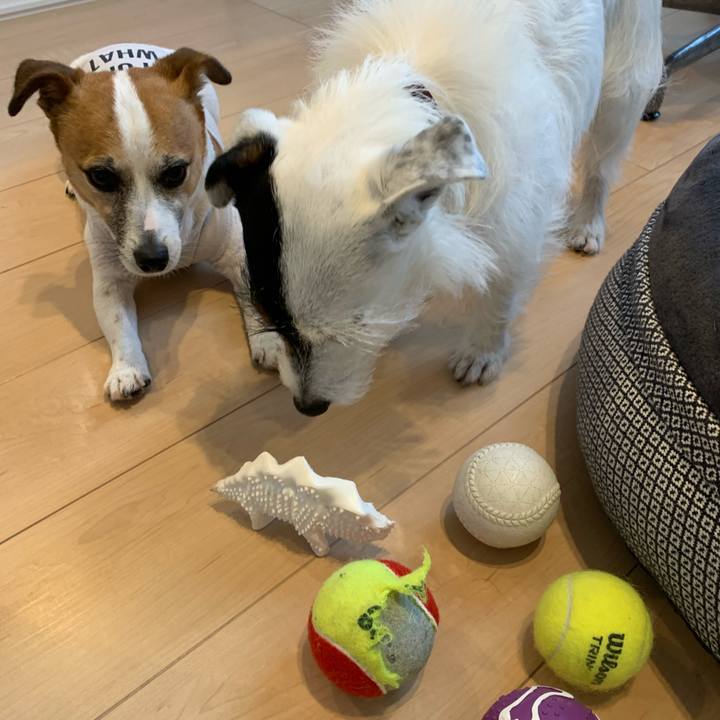 E793f500 c885 406d 893c 7dbbab2c2635 1592124830648