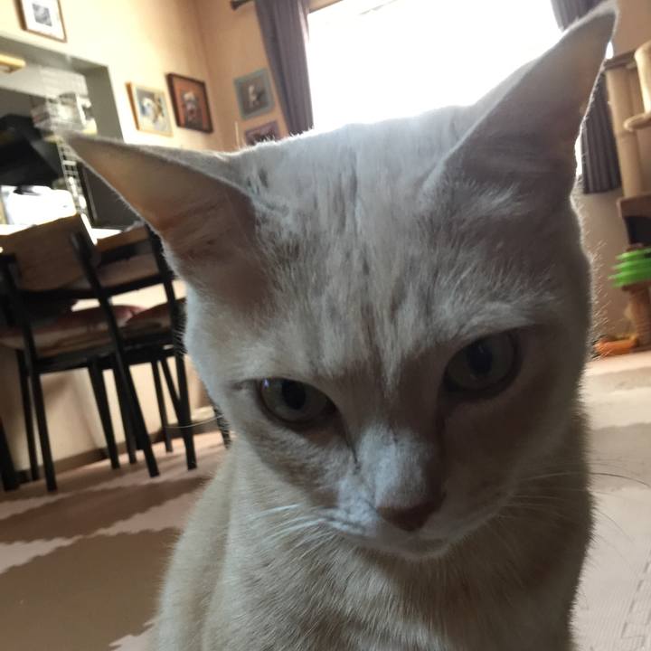 E794055b 8e81 4cb6 9be9 4bbc47639c1d 1581029424200