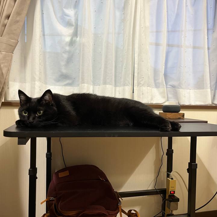 E7940ba4 413b 4713 8598 4691c9899891 1719655847982