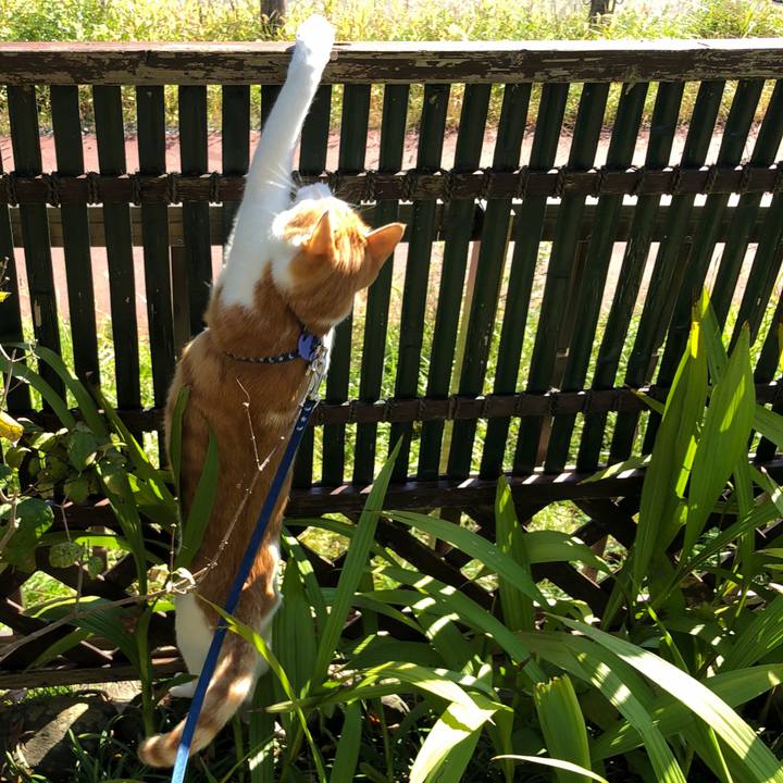 E7941c94 dfc2 47c3 9e9a 76b3ed7dcceb 1539833578808