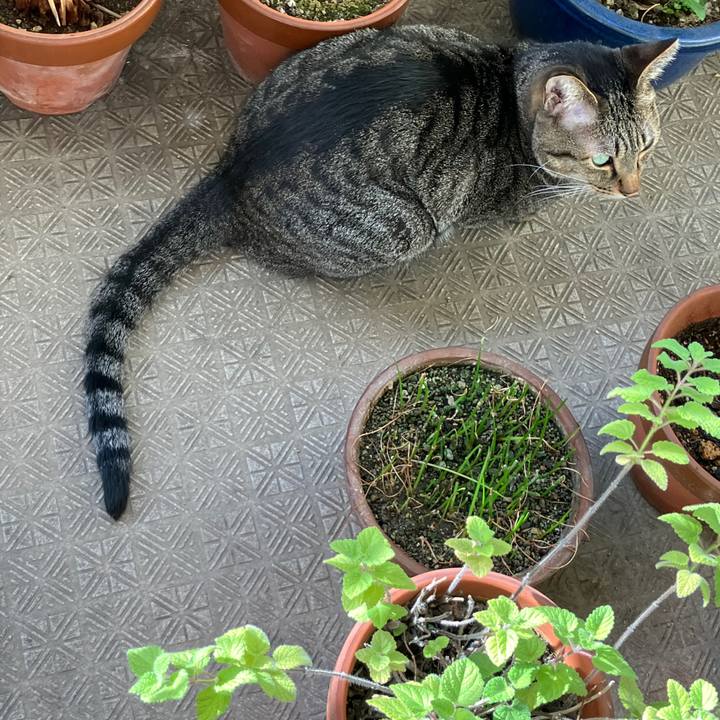 E7941e27 8df3 4a11 acb5 f732574d6181 1759186514352