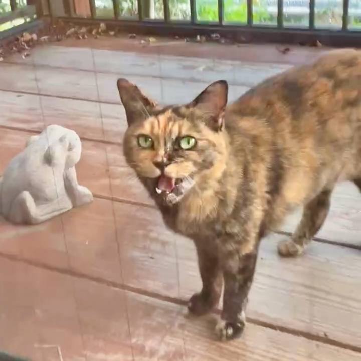 E7942995 36b3 4b61 891d dc40a2d787a2 1751803285500