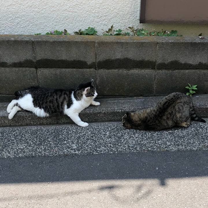 E794449b 5898 4b36 9038 e4099bff8fdb 1526283215929