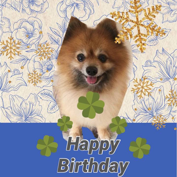 E7944e74 d8f3 4a45 84bd a7a433ab5929 1544521785168