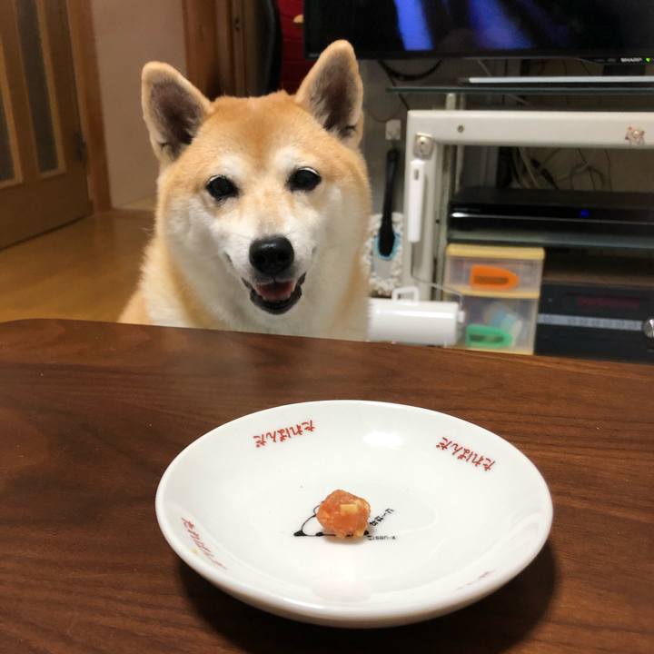 E7947c06 d200 47c0 9baf 07198f9b171a 1571065513630