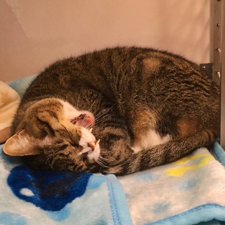 E7948ef6 5e29 43c3 b180 c149bfbcc3db 1577429675454