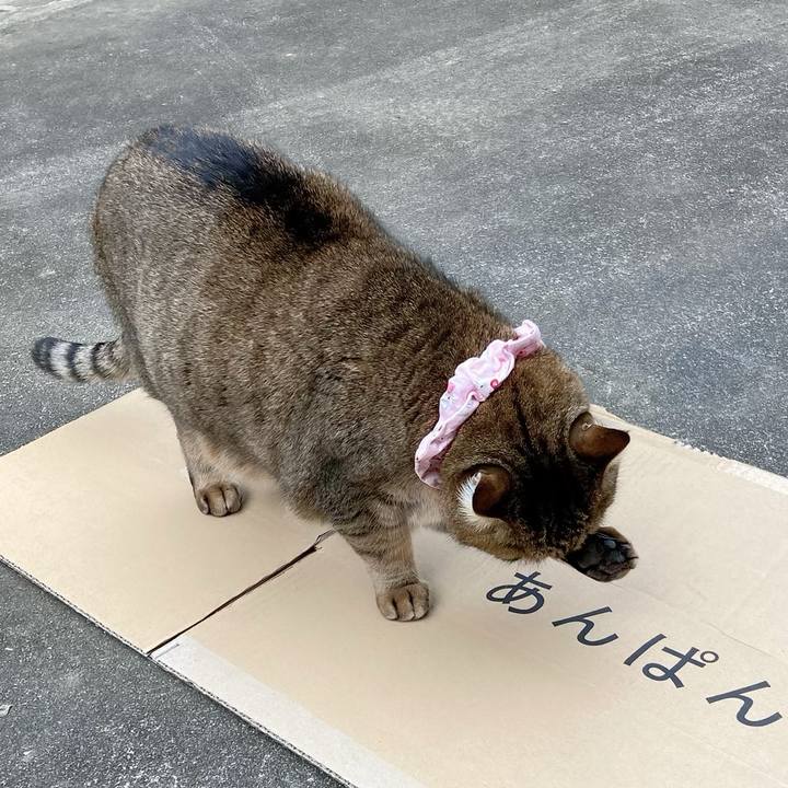 E7949c3b 800c 4f8d 9302 8753381aca69 1675300810490