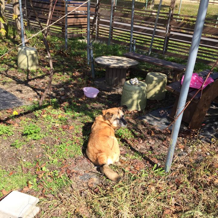 E794e044 38eb 434b aebc 62c74847653e 1509442105428