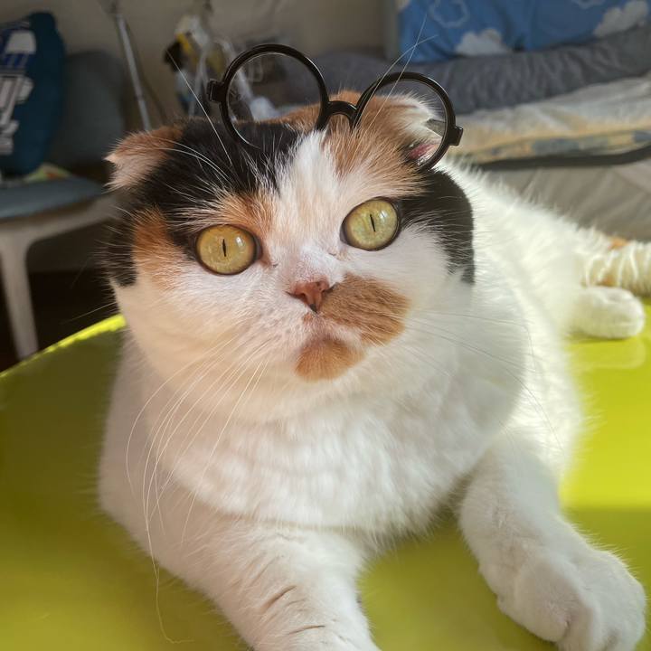 E7951416 e3d7 4ef7 ba12 8397fc8b2c6f 1633051826173