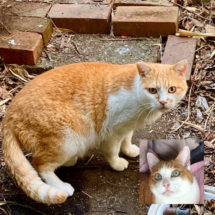 E7951f6a 7d6e 41be 9fe2 09e4b9542d0a 1773209859708