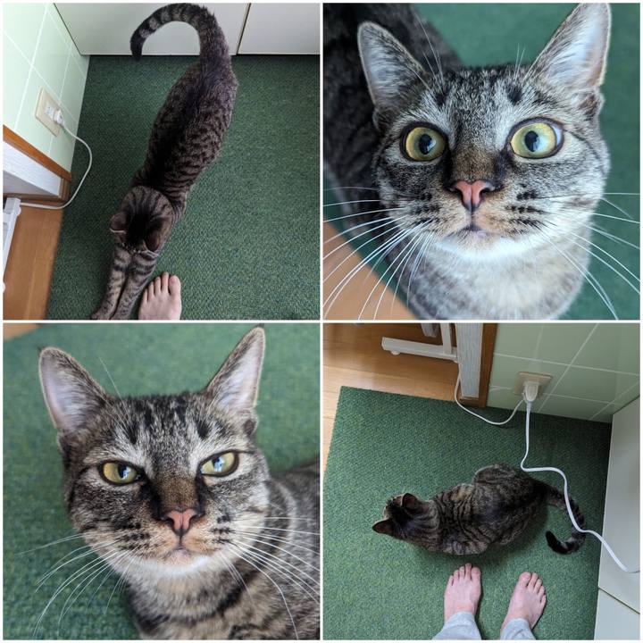 E79535e6 7164 491a b7e2 ce253f52c7ad 1716264469510