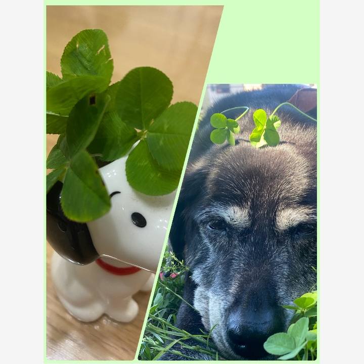 E7954f79 b075 4c7e b1b0 b34c5b0cfa39 1753100950385