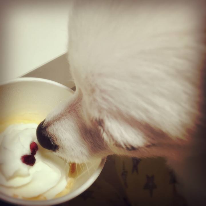 E79572ea 7eef 4002 8c22 68a9f6c8fa94 1507881648592