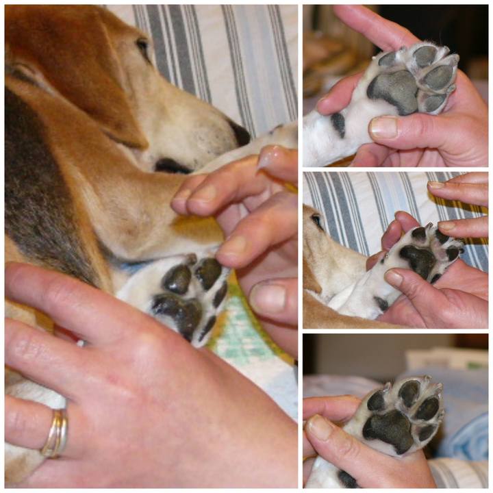 E79591cb 12b5 4fe5 9e35 70696d73c35a 1651108176629