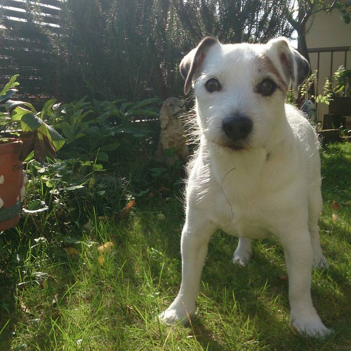 E7959abe 2fb6 4f7b a825 a801d2680d38 1510529242854