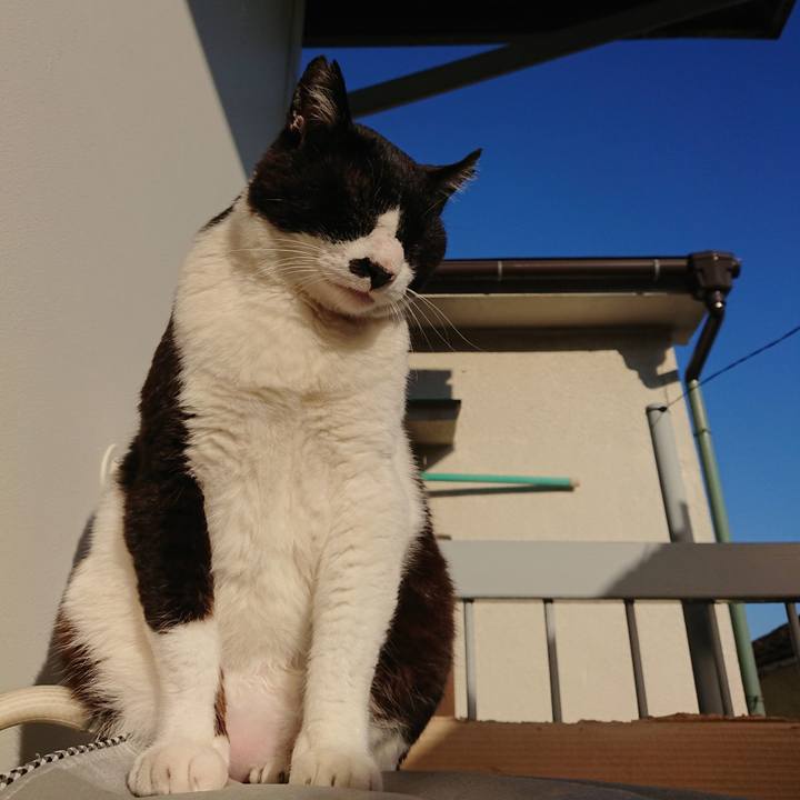 E795b043 63cd 4727 93c0 83e54cc9a076 1592608314686