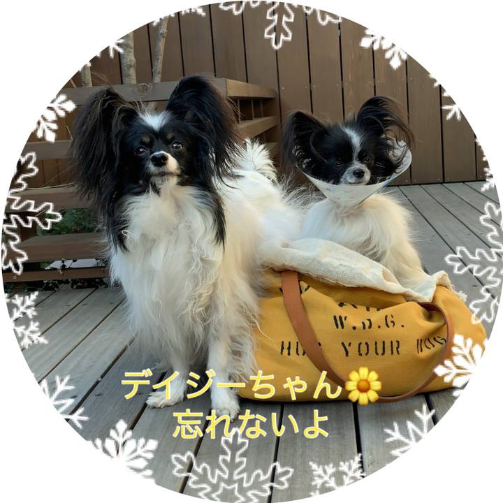 E795efb2 5312 4e35 94a3 a7b36acc2f76 1547078335629