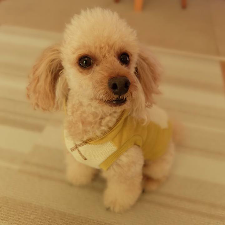 E79639d4 0ab3 4819 9231 57daacbfd85a 1604214589152