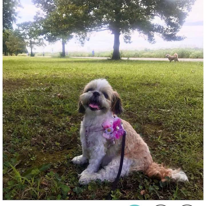 E796557a 69bb 47c7 8a26 cda676c83165 1691745697992