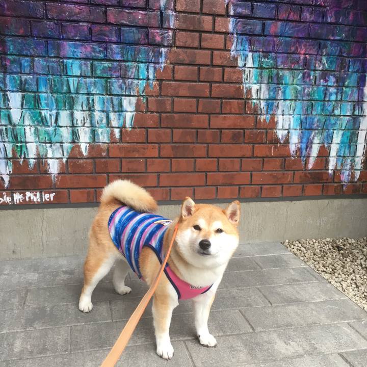 E7965993 ca20 4e3b 8def 6c2ea35dade6 1547265796412