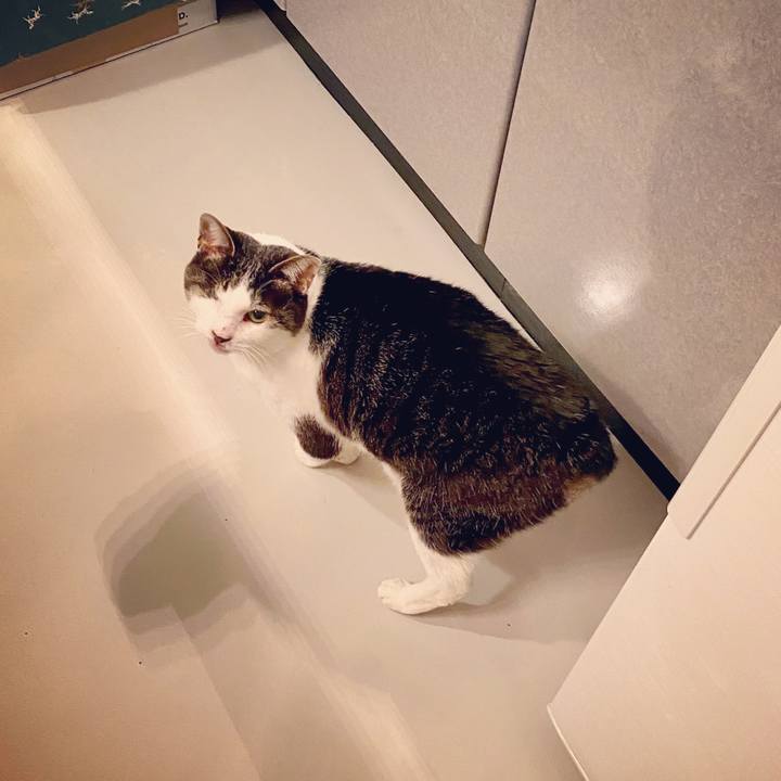 E7967224 b8ca 4838 afcd acc958cf5da1 1583939156129