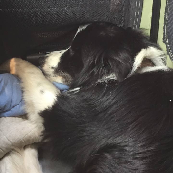 E7967d2c 0b52 4819 a23e ac1fd4dfd125 1531729398944