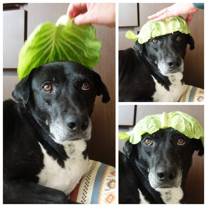 E796a628 8172 4323 be75 2b189c686d1a 1705232644120