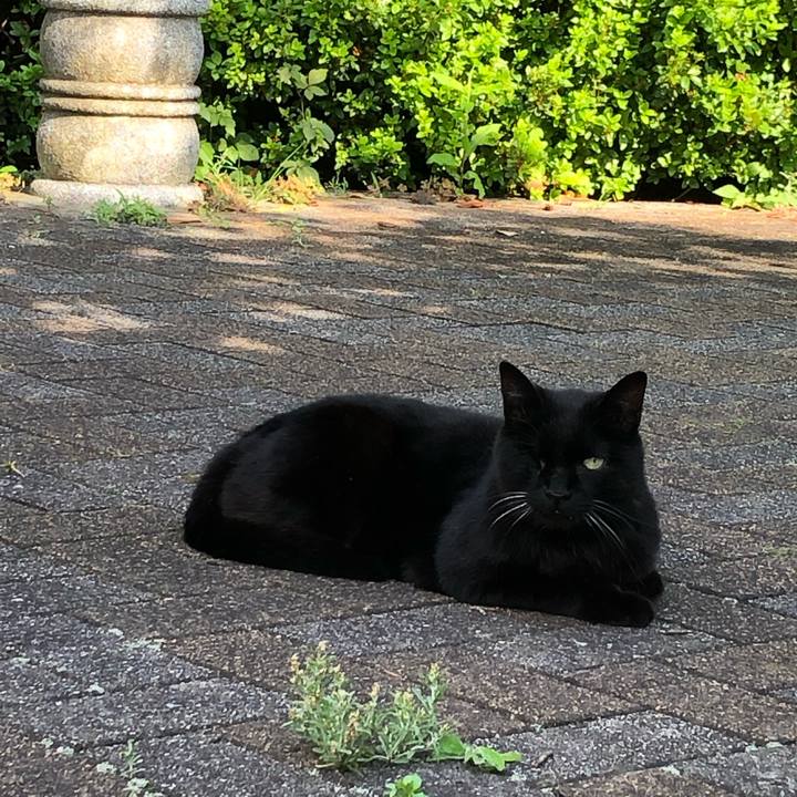 E796a762 d6a5 4008 a555 dfb1b012fc9a 1656518637860